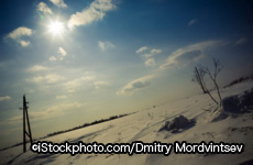 iStock_000009044088Large.jpg