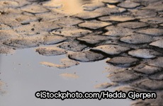 iStock_000002909949Large.jpg