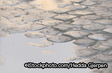 iStock_000002909949Large.jpg